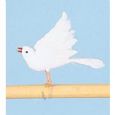 Doves