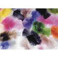 White Feathers