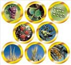 Set Of The 7 Species Of Isreal Round Cut Outs