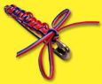 Reg. Colors Lanyard