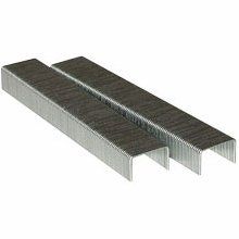 Charles Leanard Standard Staples